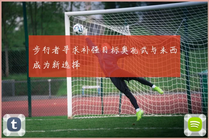 步行者寻求补强目标奥孔武与米西成为新选择