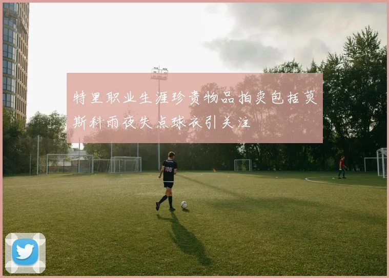 特里职业生涯珍贵物品拍卖包括莫斯科雨夜失点球衣引关注