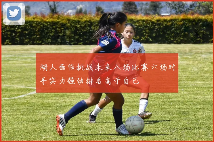 湖人面临挑战未来八场比赛六场对手实力强劲排名高于自己