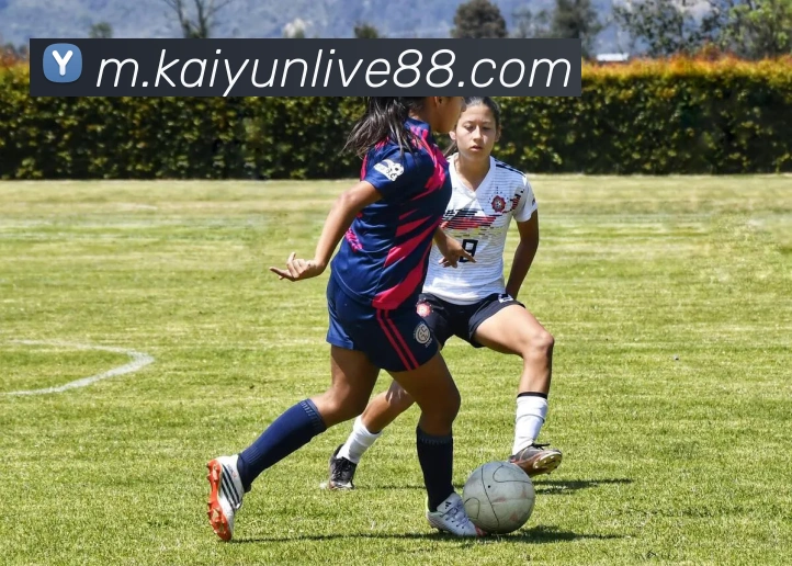 开云体育发展历程